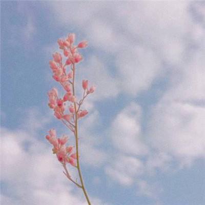 kaiyun平台手机网页版