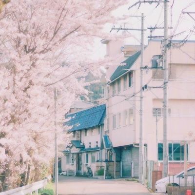 天博tb·体育综合