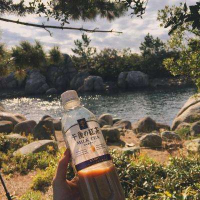 风云体育官方APP网址