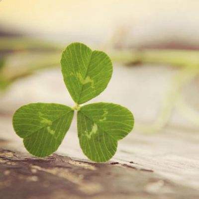 万博手机版max网页版(中国)官方网站app下载